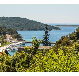 4 bedroom villa with pool in Maslinica, sleeps 8